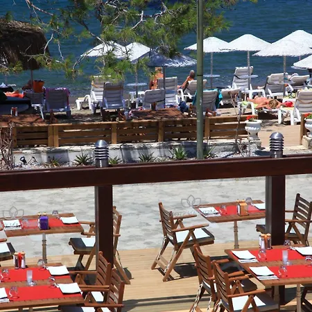 Aparthotel Mer-can Story Yalıkavak