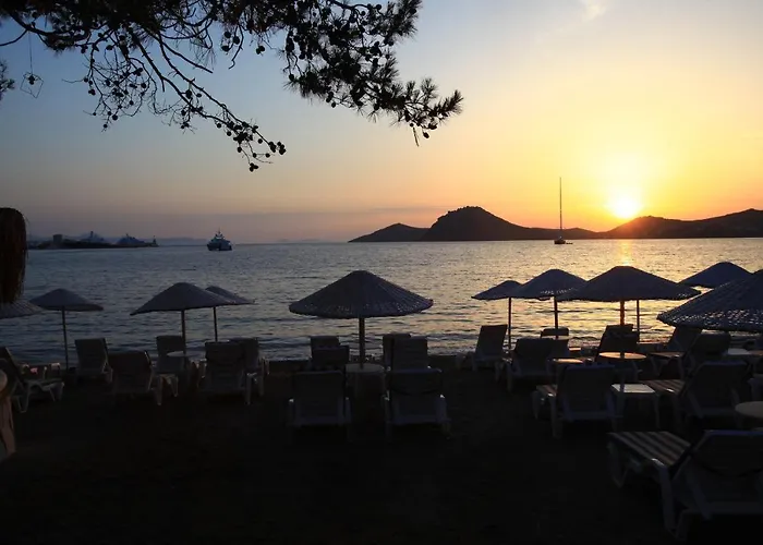 Apart-hotel Mer-can Story 4*