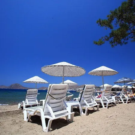 Mer-can Story Apart Otel