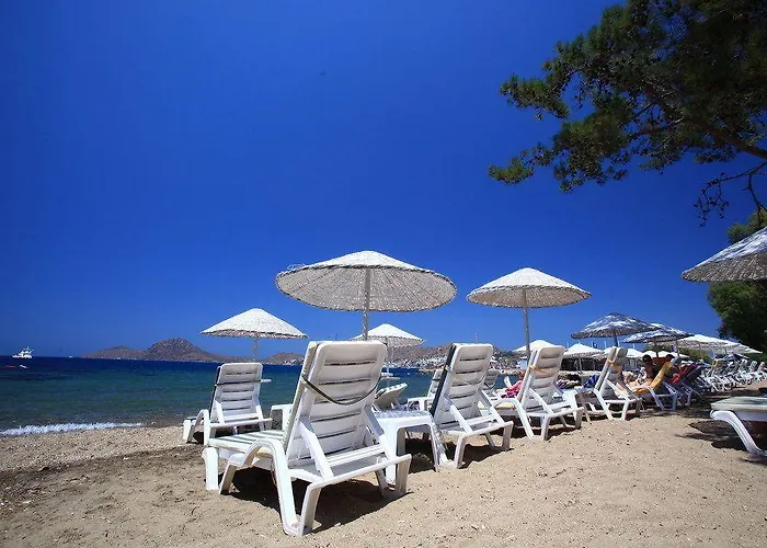 Mer-can Story Lägenhetshotell