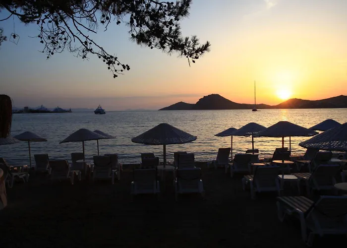 Mer-can Story Yalıkavak