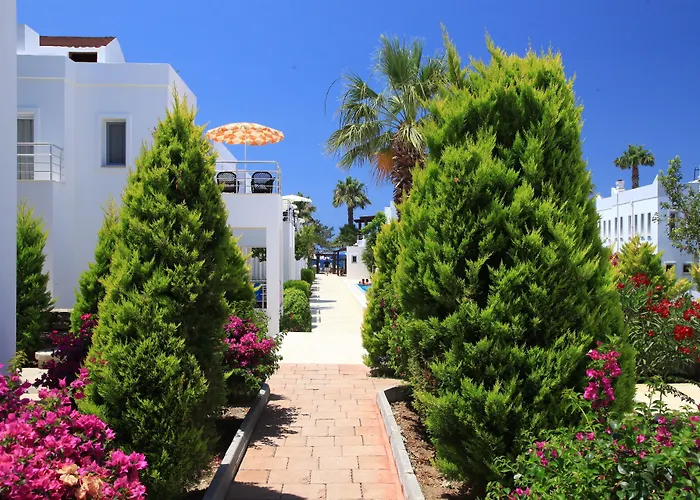 Mer-can Story Yalıkavak