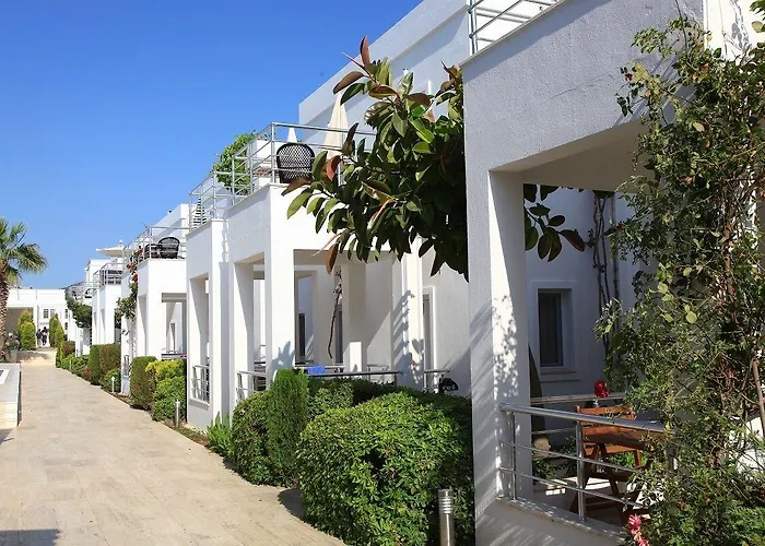 Mer-can Story Yalıkavak