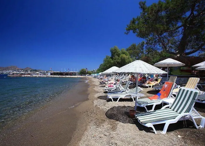 Mer-can Story Yalıkavak